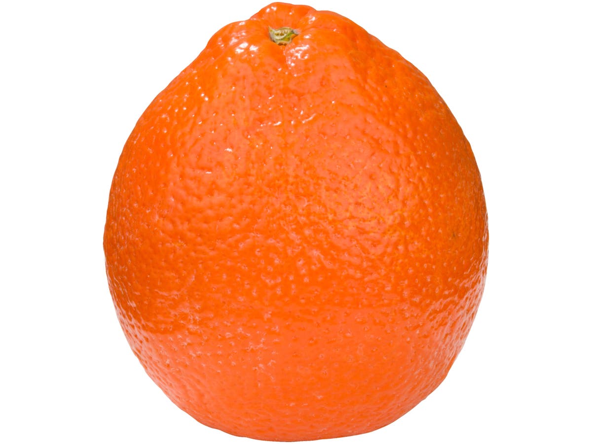 Minneola's Minneola's