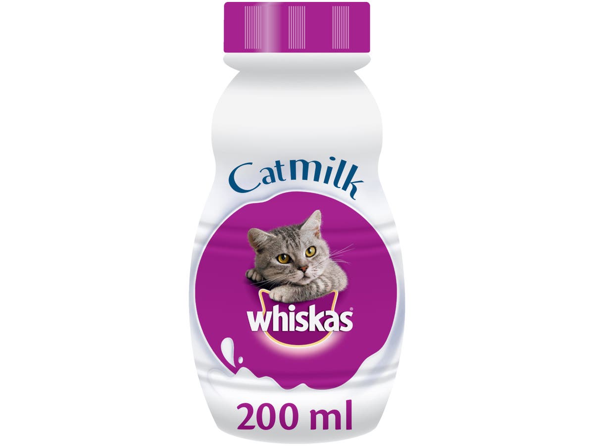 Catmilk Catmilk