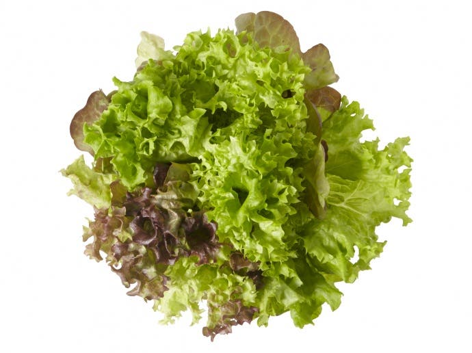 Salatrio Salatrio