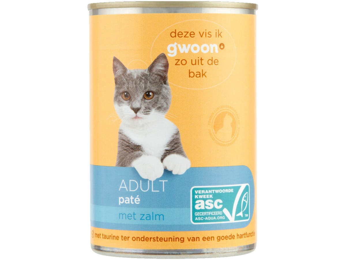 Adult pate met zalm kat Adult pate met zalm kat