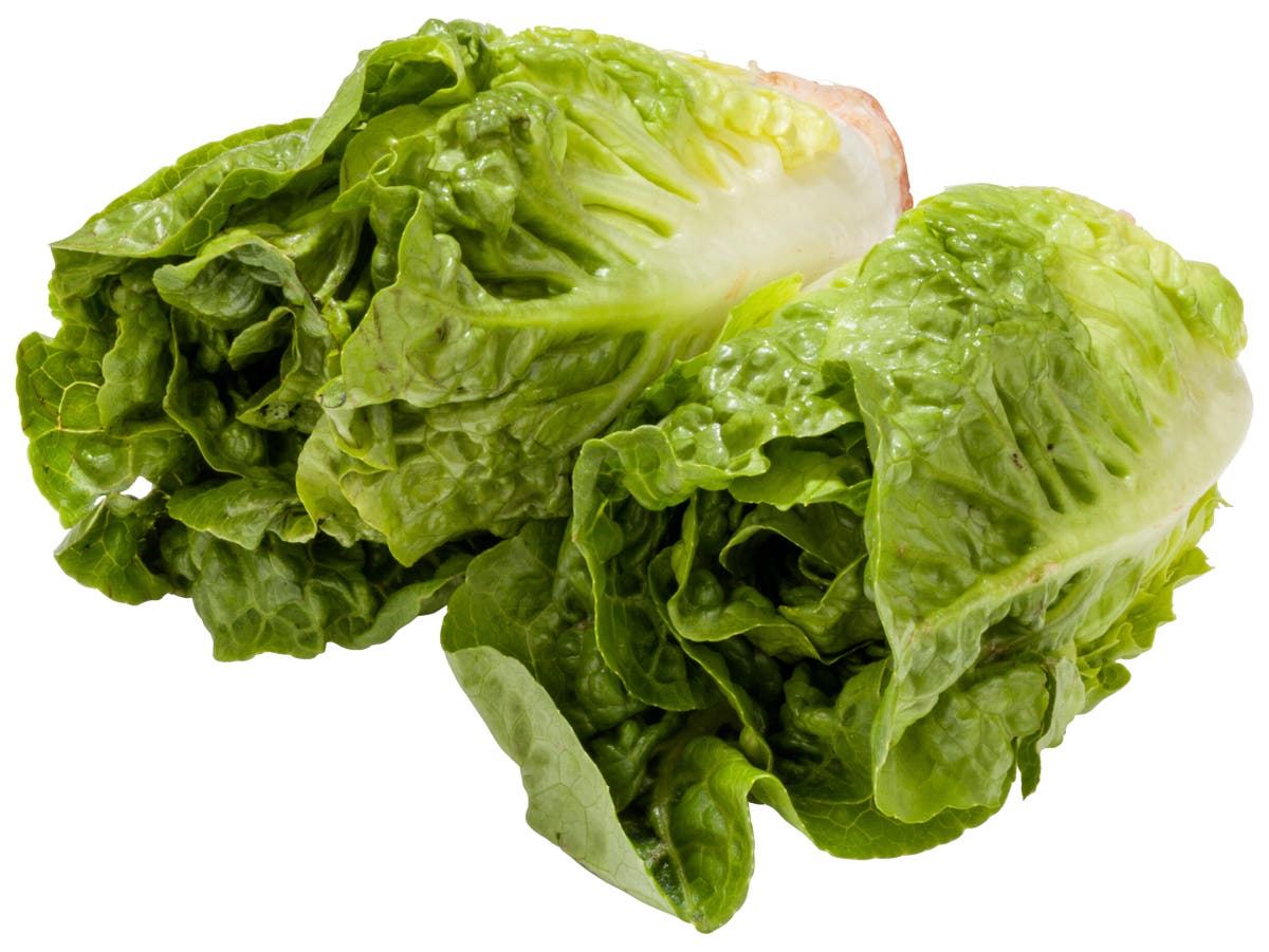 Romaine sla