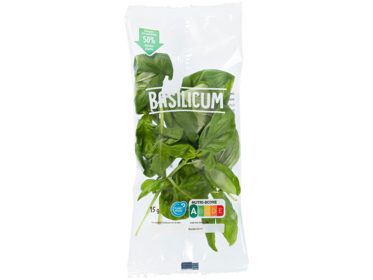 Verse basilicum