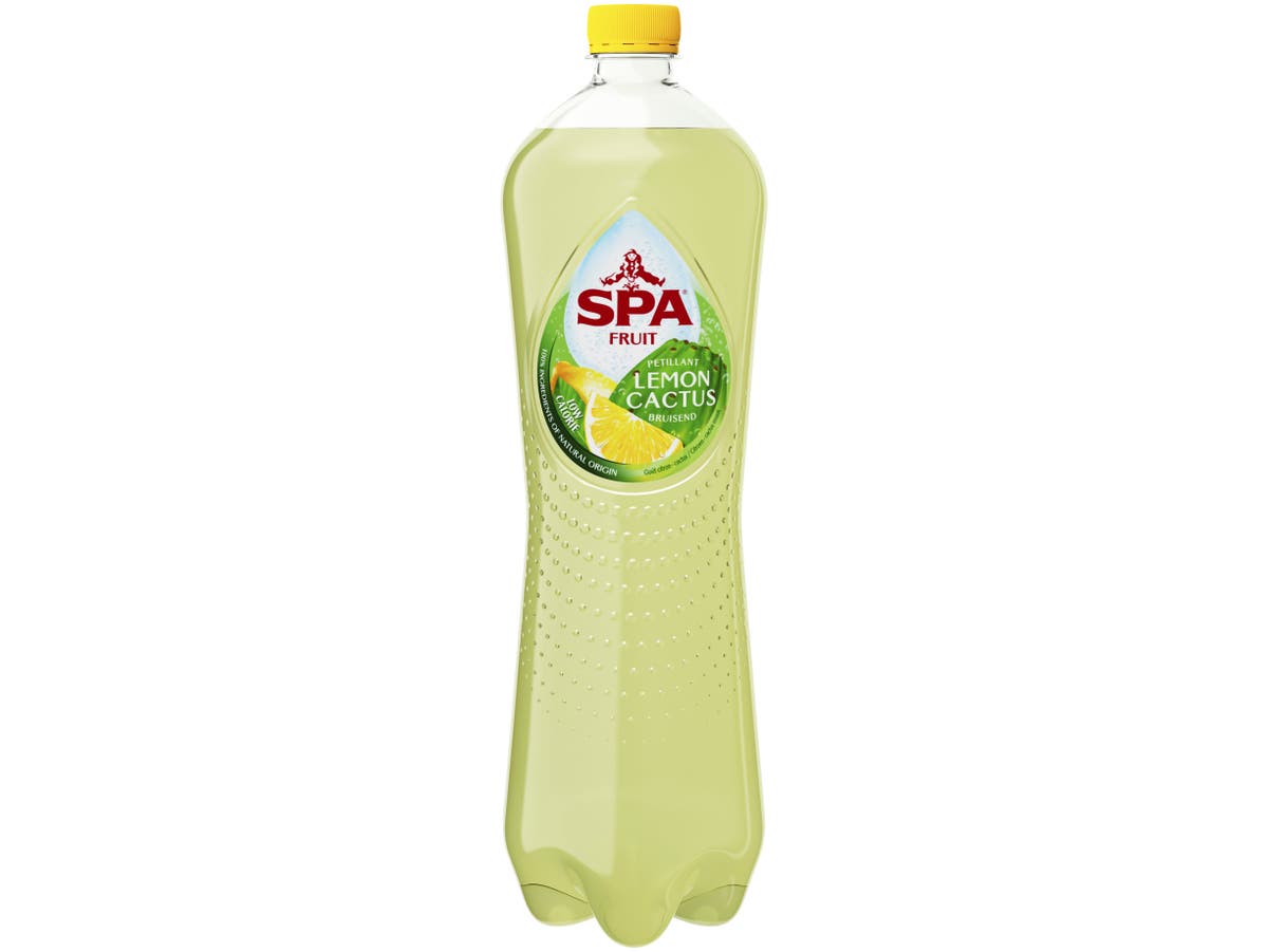 FRUIT Koolzuurhoudend Lemon Cactus FRUIT Koolzuurhoudend Lemon Cactus