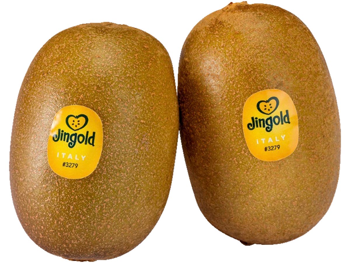Kiwi jingold Kiwi jingold